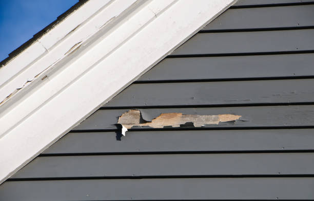 Best Custom Trim and Detailing for Siding  in Magna, UT